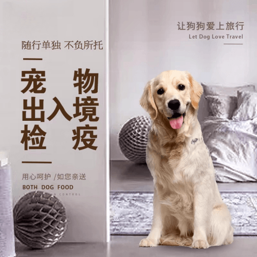 湛江市宠物托运到哥伦比亚猫狗宠物入境规定和