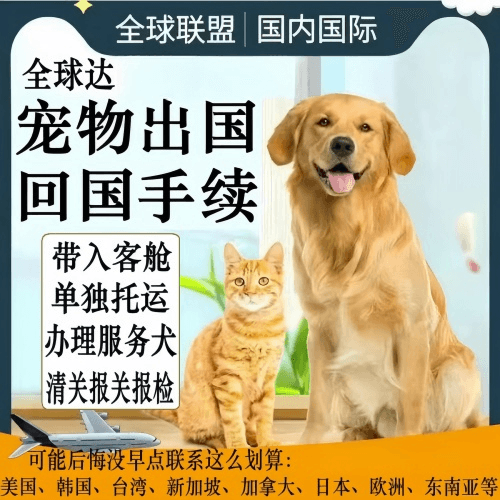 湛江市宠物托运到柬埔寨宠物入境规定和要求
