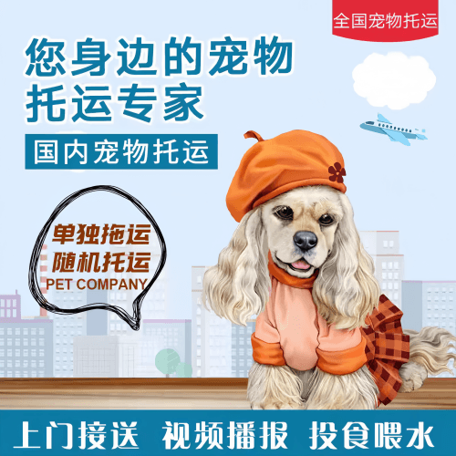 满财湛江市宠物全球达宠物托运作为专业的宠物运输代理机构